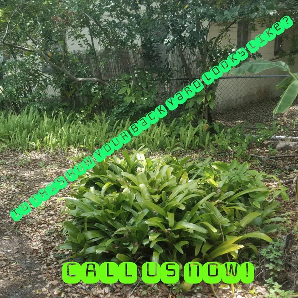 Professional landscape installation for homes in Tampa, FL by 1 Friendly Lawn Service