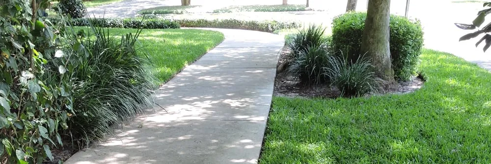 Top-rated yard cleanup service near you across Tampa, FL - 1 Friendly Lawn Service