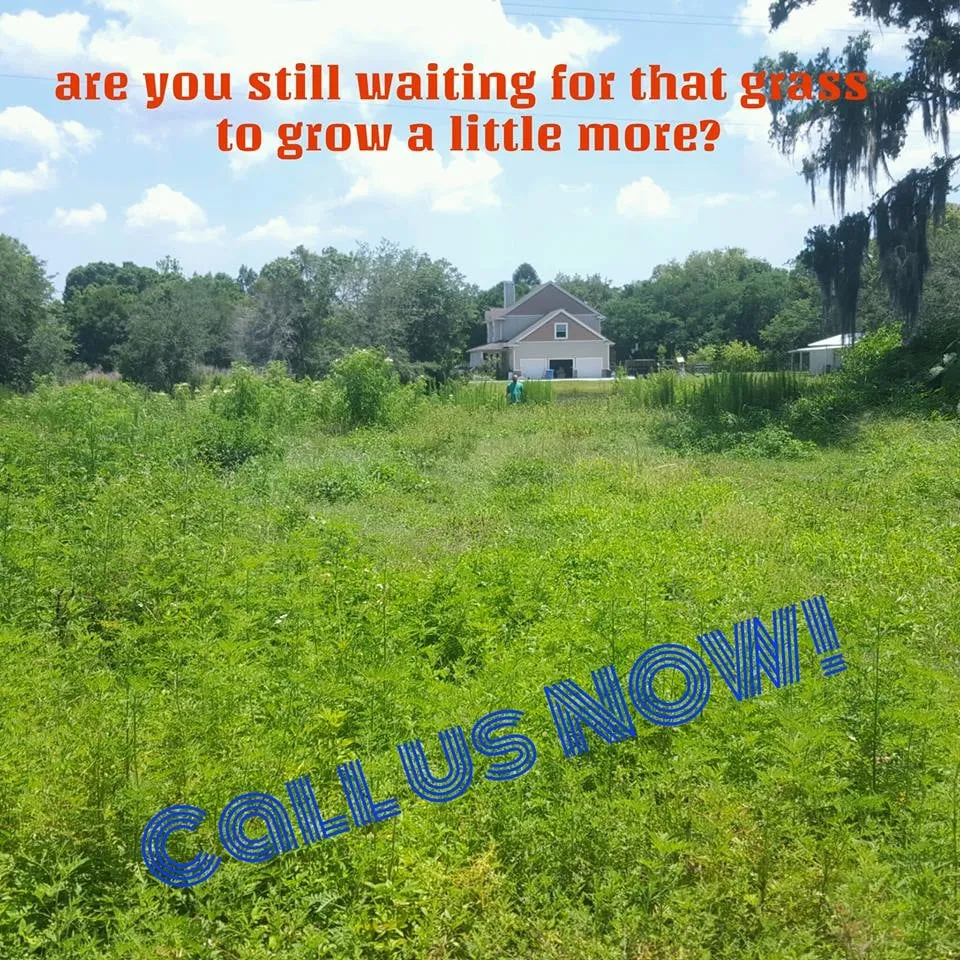 Local outdoor landscaping in Tampa, FL - 1 Friendly Lawn Service