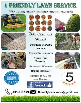 Expert yard maintenance in Tampa, FL by 1 Friendly Lawn Service