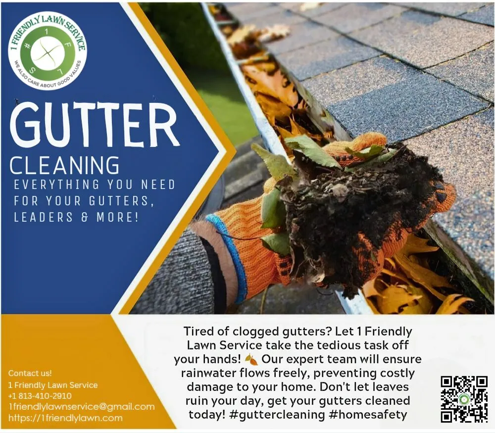 Top-rated lawn care service experts serving Tampa, FL - 1 Friendly Lawn Service