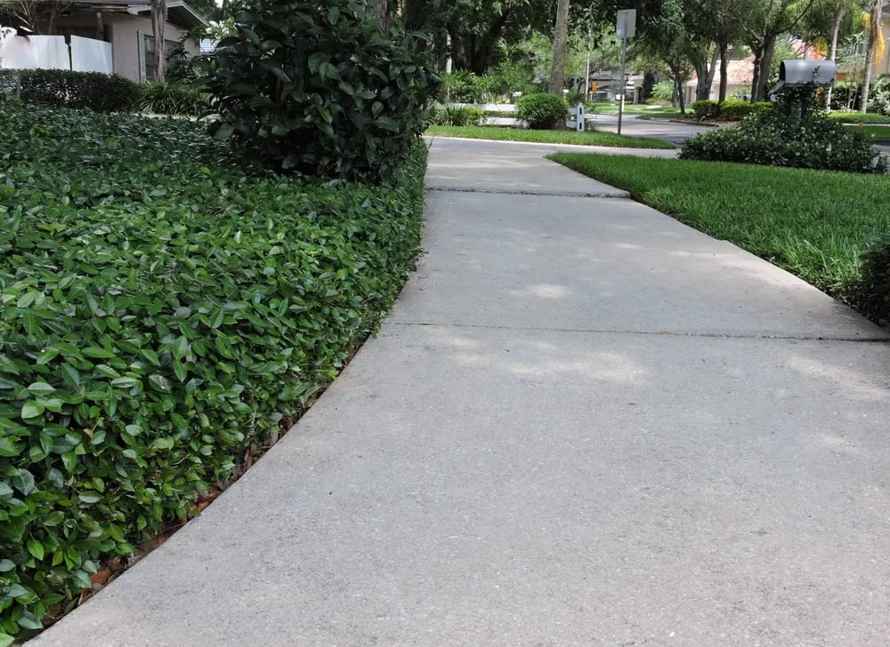 Expert landscaping services for residential properties across Tampa, FL - 1 Friendly Lawn Service