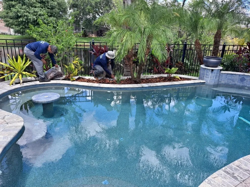 Top-rated lawn care service in Tampa, FL by 1 Friendly Lawn Service