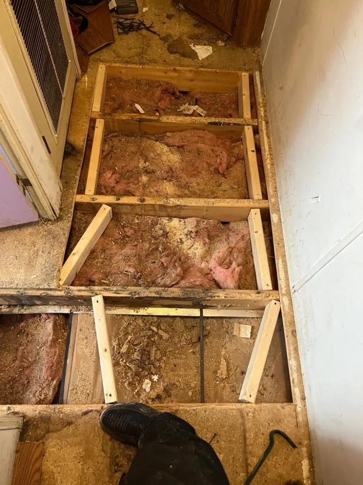 Professional lawn care service for residential properties in Dixon, IL by 1 Guy and His Truck