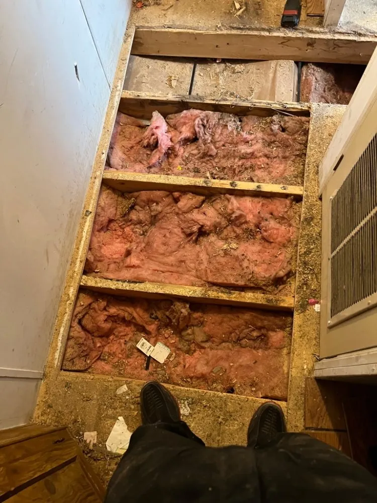 Local lawn mowing service in Dixon, IL - 1 Guy and His Truck