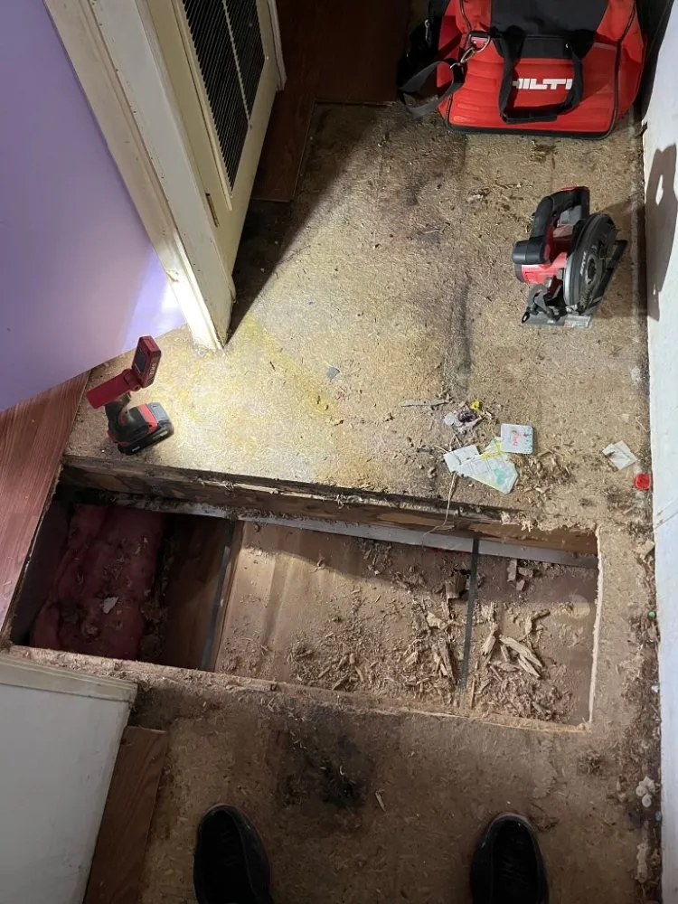 Trusted lawn mowing service experts serving Dixon, IL - 1 Guy and His Truck