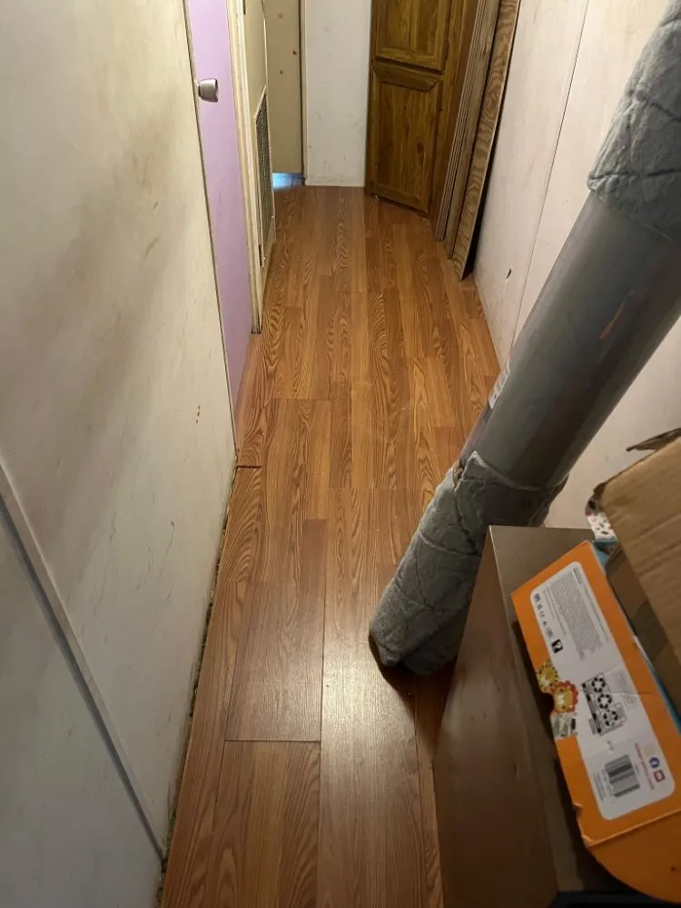 Trusted yard cleanup service in Dixon, IL - 1 Guy and His Truck