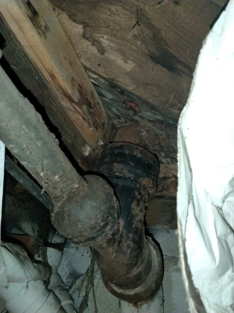 Reliable yard cleanup service experts serving Front Royal, VA - 1 Jett