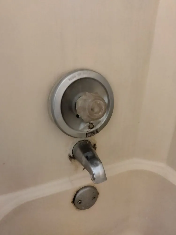 Top-rated landscape installation in Front Royal, VA - 1 Jett