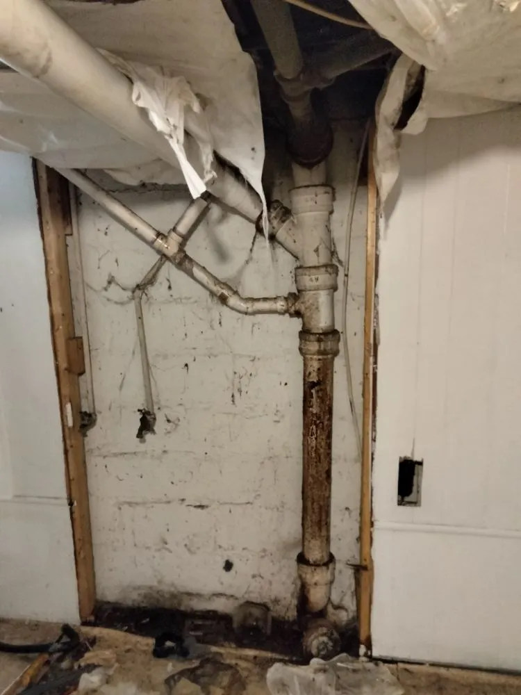 Local yard cleanup service for beautiful yards in Front Royal, VA by 1 Jett