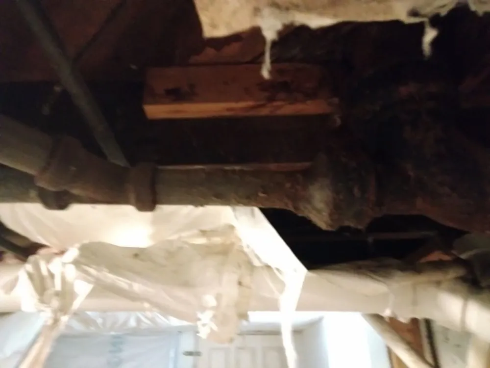 Local lawn care service with custom design across Front Royal, VA - 1 Jett