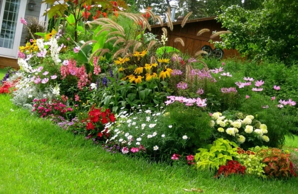 Reliable residential landscaping in Boca Raton, FL by 1 Landscaping & Professional Cleaning