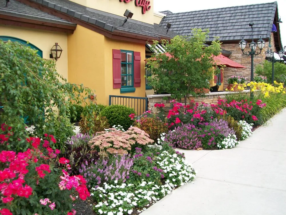 Reliable residential landscaping near you across Medina, OH - 1 Landscaping