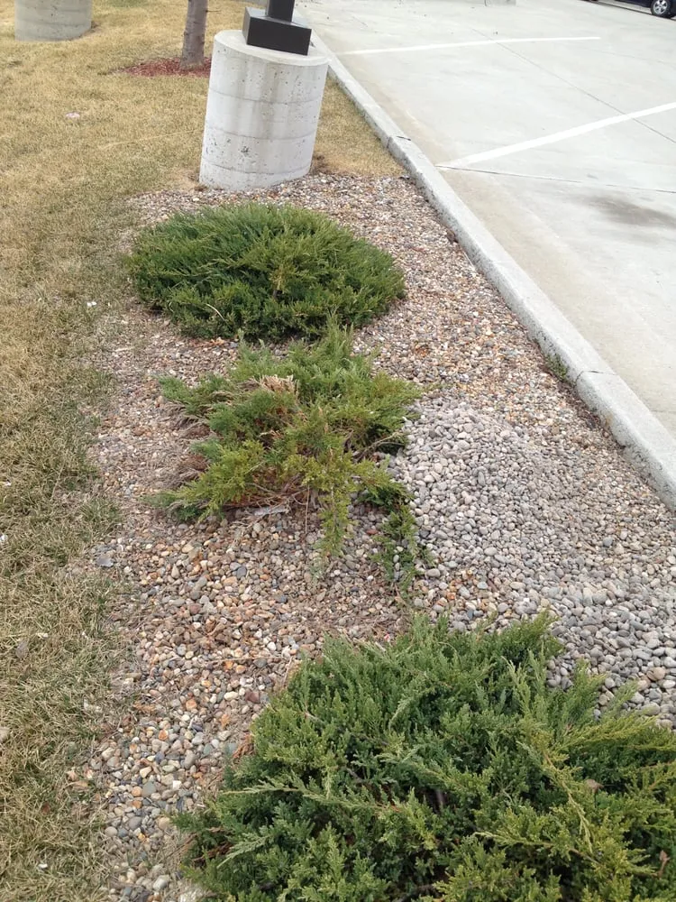 Affordable yard cleanup service experts serving Des Moines, IA - #1 Lawncare