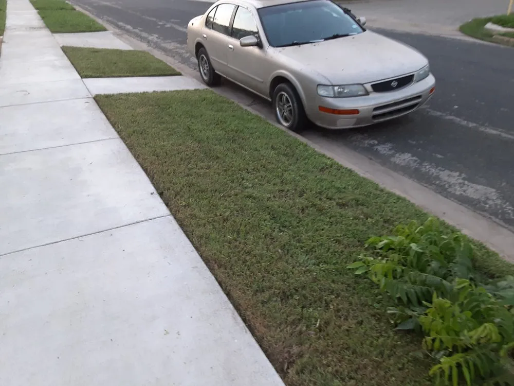 Expert yard cleanup service for beautiful yards across Killeen, TX - 1 Luv Lawn Care