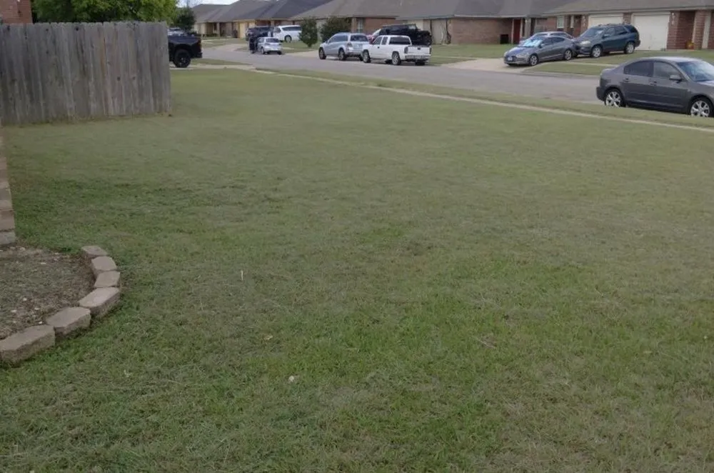 Reliable landscaping services experts serving Killeen, TX - 1 Luv Lawn Care