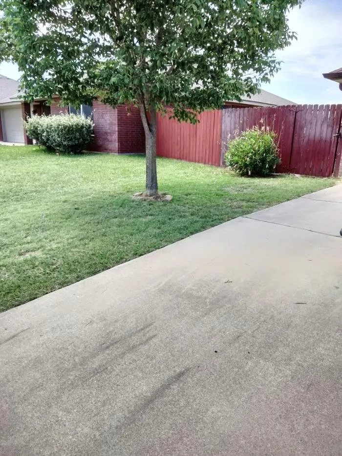 Expert yard maintenance in Killeen, TX - 1 Luv Lawn Care
