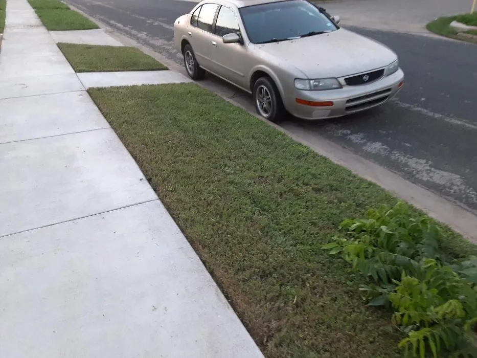 Local garden landscaping in Killeen, TX by 1 Luv Lawn Care