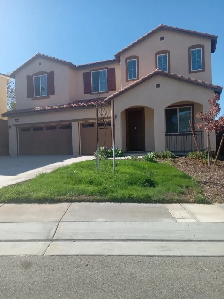 Top-rated lawn care service experts serving Riverside, CA - 1 Neat Landscaping Lawn Maintenance N Tree Services