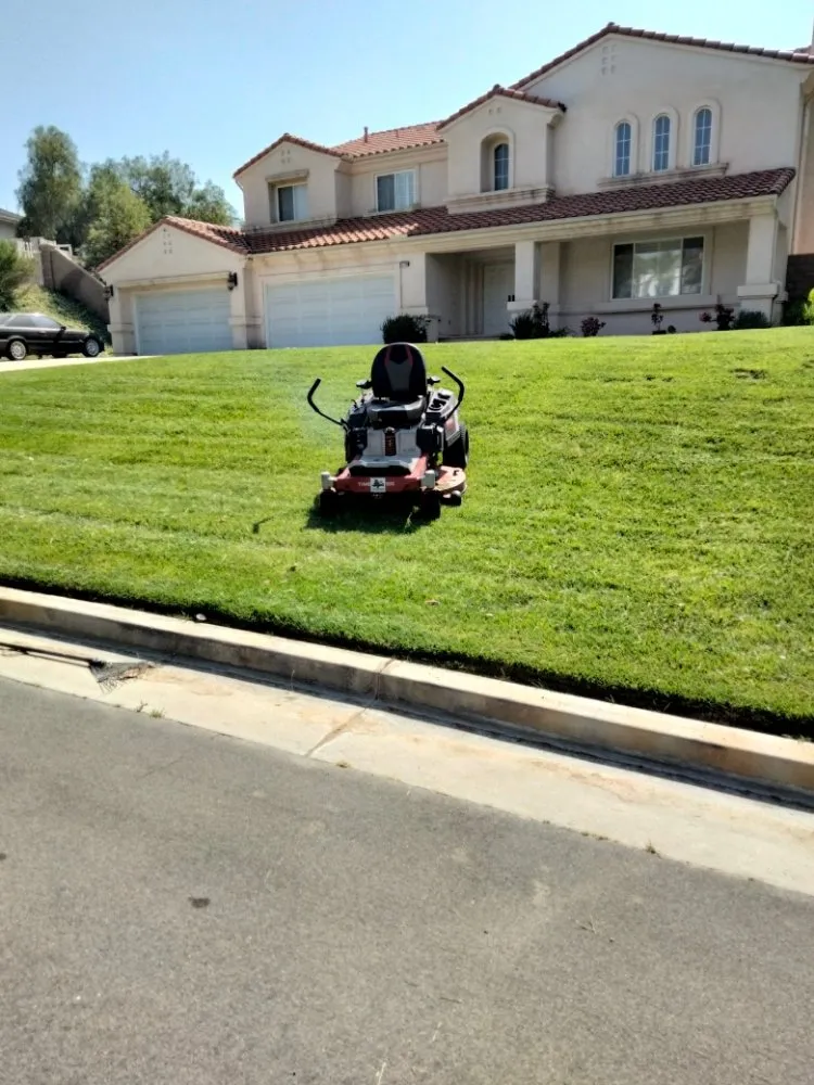 Affordable yard cleanup service in Riverside, CA - 1 Neat Landscaping Lawn Maintenance N Tree Services