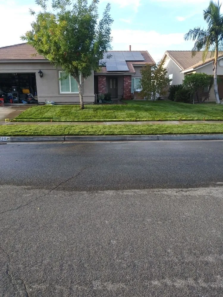 Top-rated lawn mowing service experts serving Riverside, CA - 1 Neat Landscaping Lawn Maintenance N Tree Services