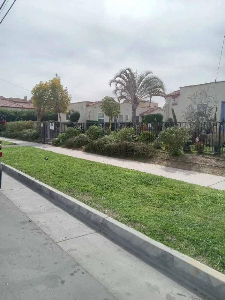 Local yard maintenance in Riverside, CA by 1 Neat Landscaping Lawn Maintenance N Tree Services