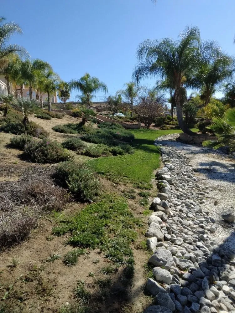 Local lawn mowing service experts serving Riverside, CA - 1 Neat Landscaping Lawn Maintenance N Tree Services