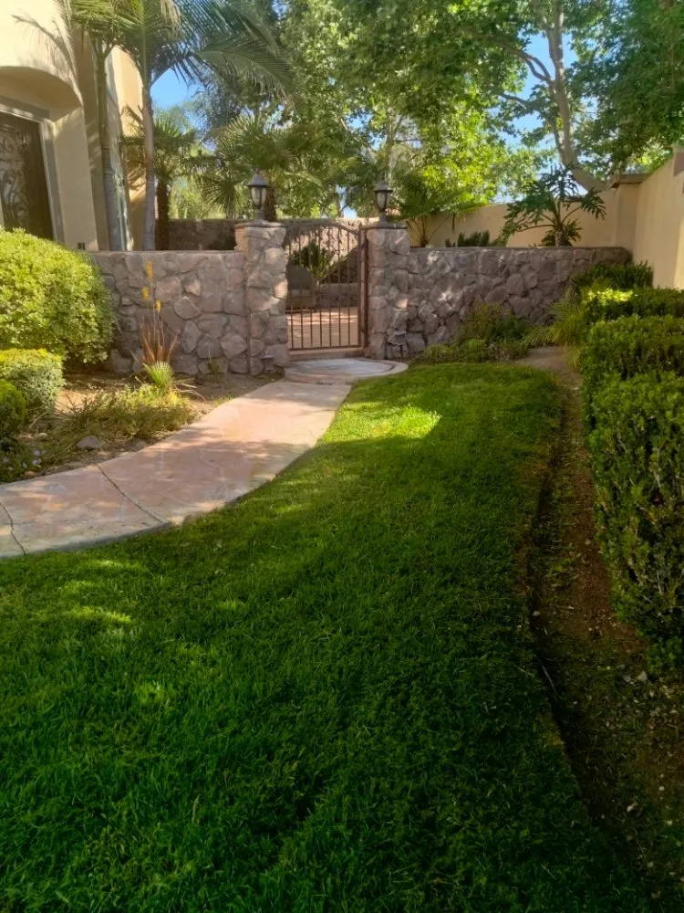 Affordable lawn mowing service experts serving Riverside, CA - 1 Neat Landscaping Lawn Maintenance N Tree Services