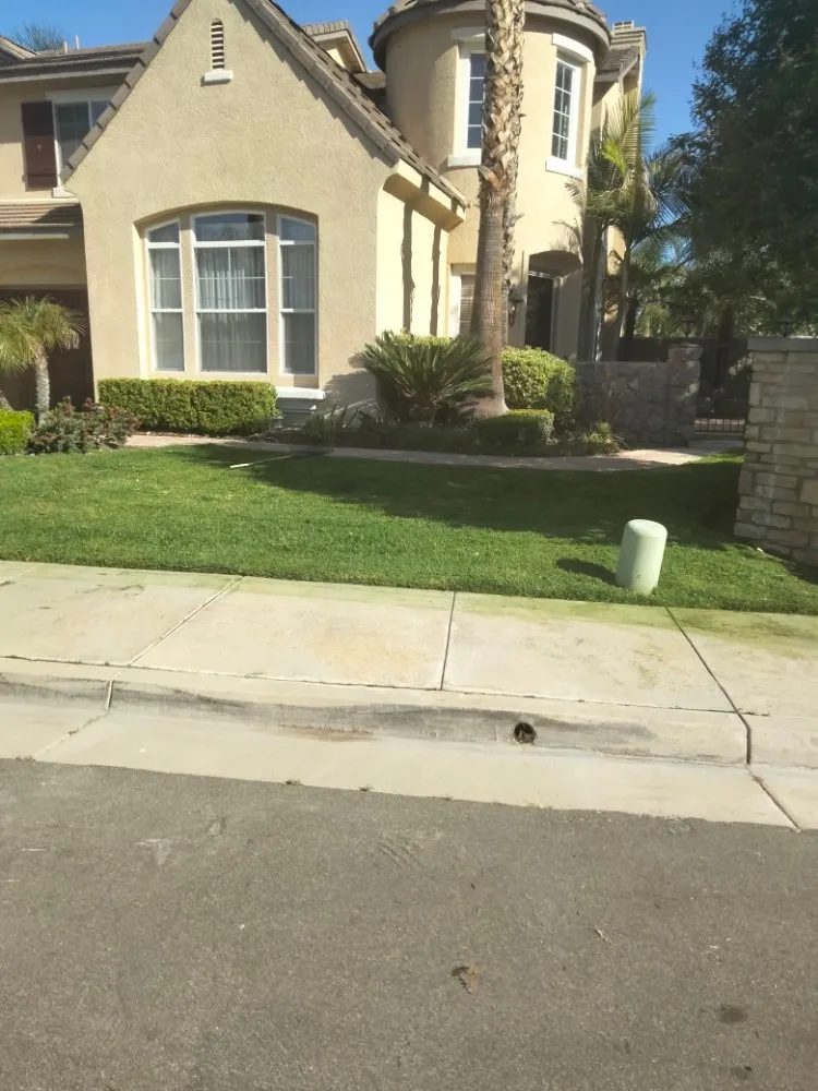 Custom residential landscaping in Riverside, CA - 1 Neat Landscaping Lawn Maintenance N Tree Services