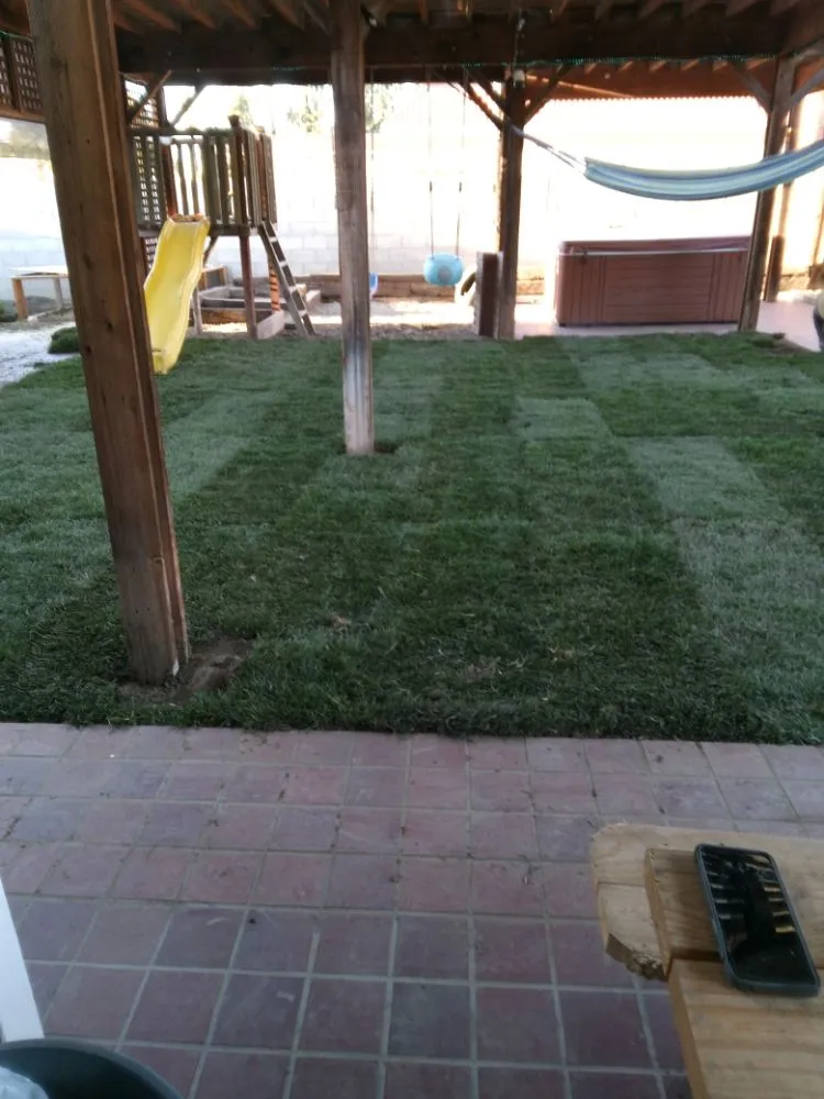 Local landscape design experts serving Riverside, CA - 1 Neat Landscaping Lawn Maintenance N Tree Services