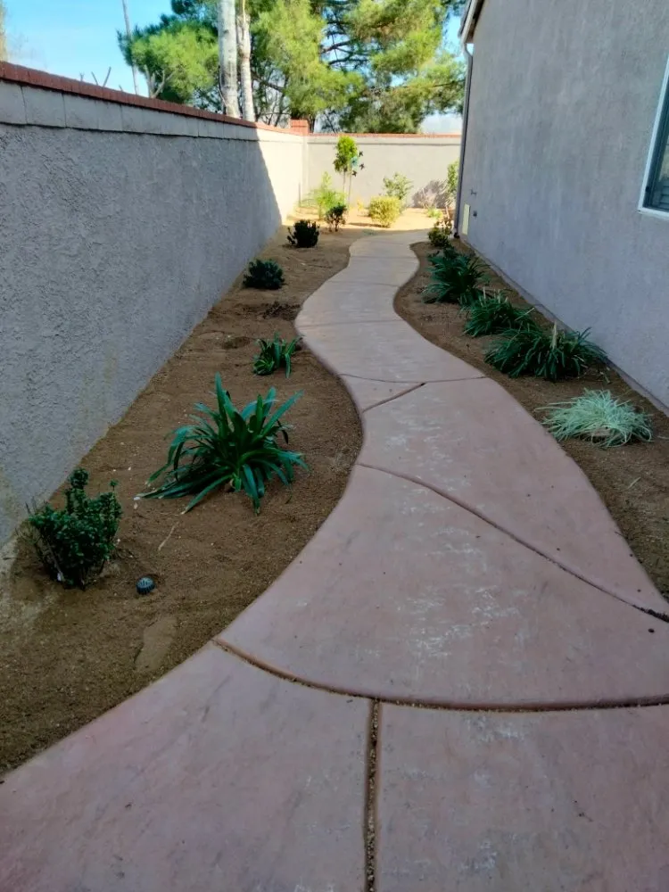 Professional yard cleanup service for year-round maintenance across Riverside, CA - 1 Neat Landscaping Lawn Maintenance N Tree Services