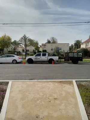 1 Neat Landscaping Lawn Maintenance N Tree Services Logo