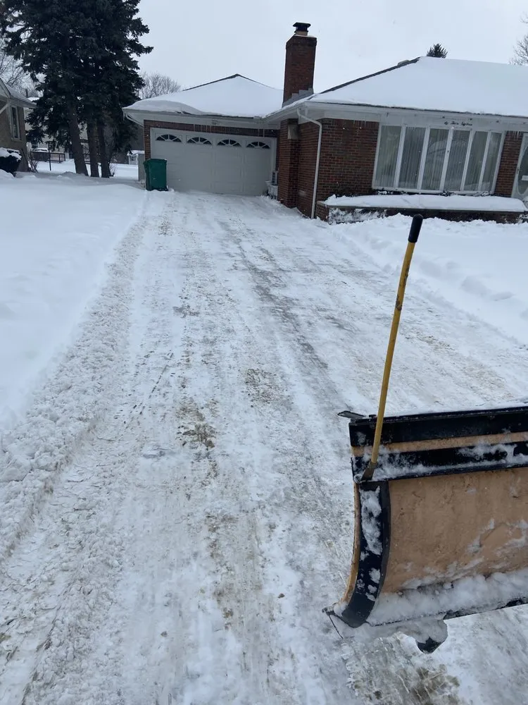 Custom yard maintenance experts serving Erie, PA - 1 of 1 Services