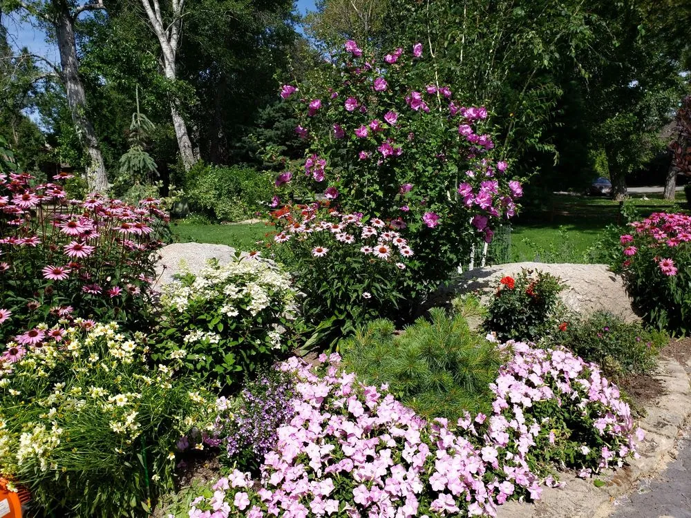 Custom yard cleanup service for homes across Meridian, ID - 1 of a Kind Landscape