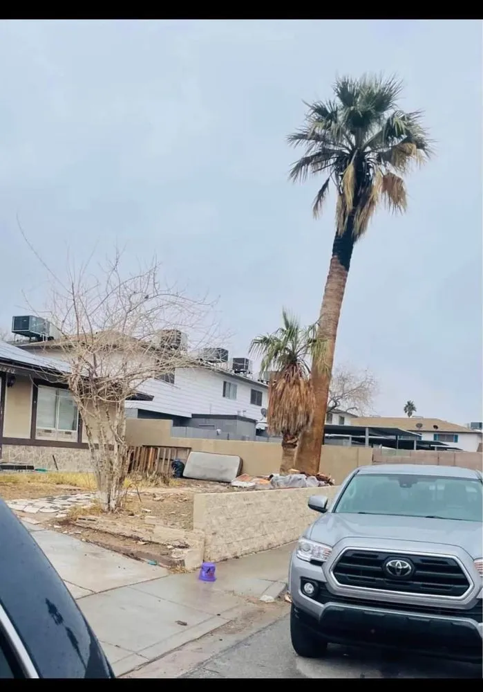 Professional landscape design for beautiful yards in Las Vegas, NV by 1 Rafael Tree & Landscaping Services