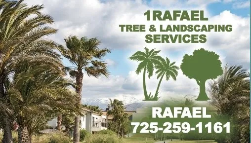 Top-rated landscape installation for beautiful yards in Las Vegas, NV by 1 Rafael Tree & Landscaping Services