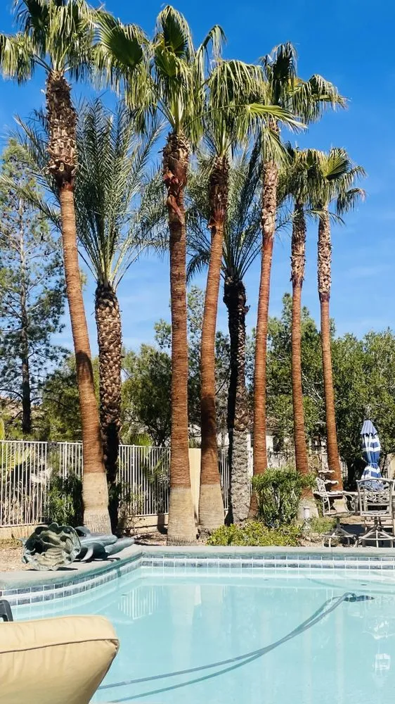 Top-rated landscape design in Las Vegas, NV by 1 Rafael Tree & Landscaping Services