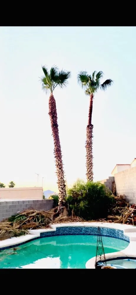 Reliable lawn care service with custom design across Las Vegas, NV - 1 Rafael Tree & Landscaping Services