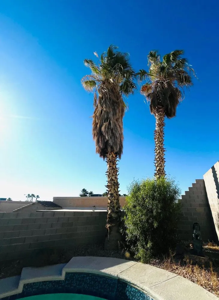 Reliable garden landscaping experts serving Las Vegas, NV - 1 Rafael Tree & Landscaping Services