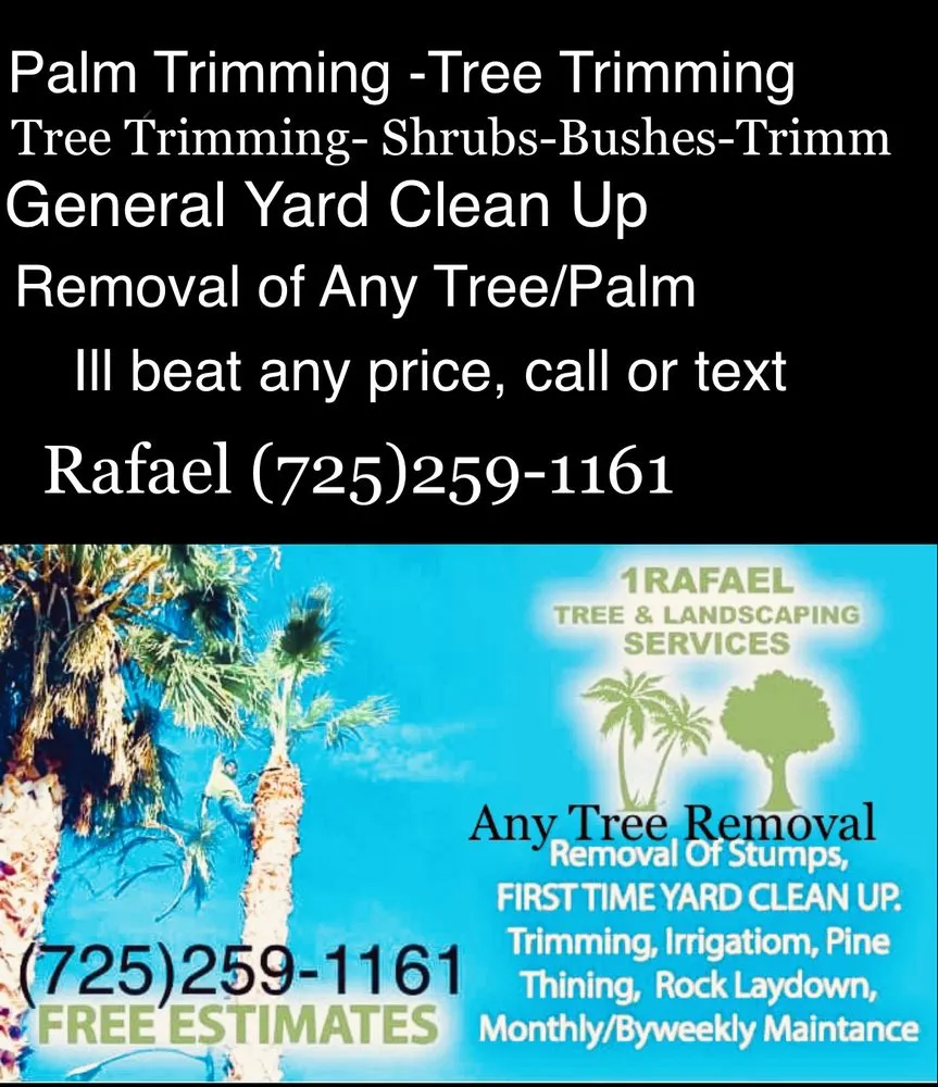 Reliable outdoor landscaping in Las Vegas, NV by 1 Rafael Tree & Landscaping Services