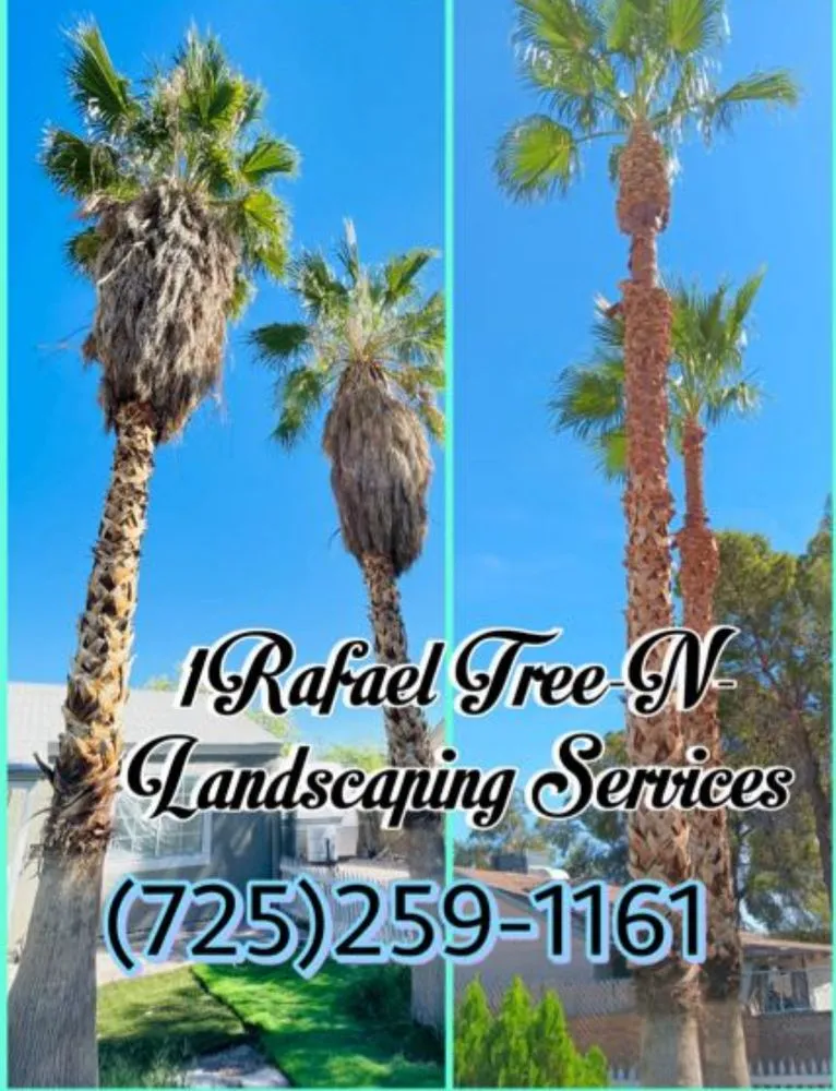 Affordable yard maintenance for homes in Las Vegas, NV by 1 Rafael Tree & Landscaping Services