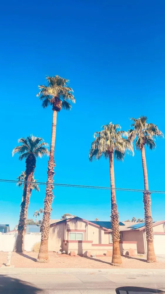 Expert residential landscaping experts serving Las Vegas, NV - 1 Rafael Tree & Landscaping Services