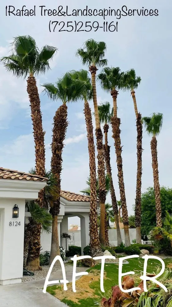 Local landscape installation for homes across Las Vegas, NV - 1 Rafael Tree & Landscaping Services