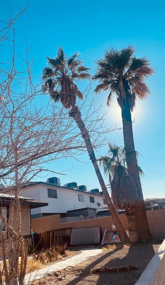 Custom garden landscaping in Las Vegas, NV - 1 Rafael Tree & Landscaping Services