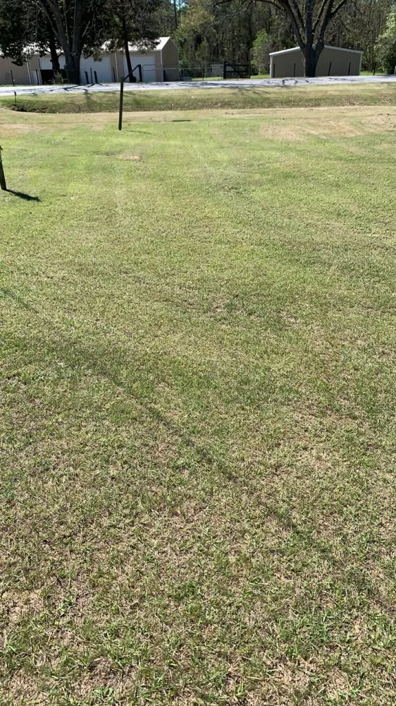 Professional yard cleanup service in Columbus, GA - 1 Stop Lawn Care