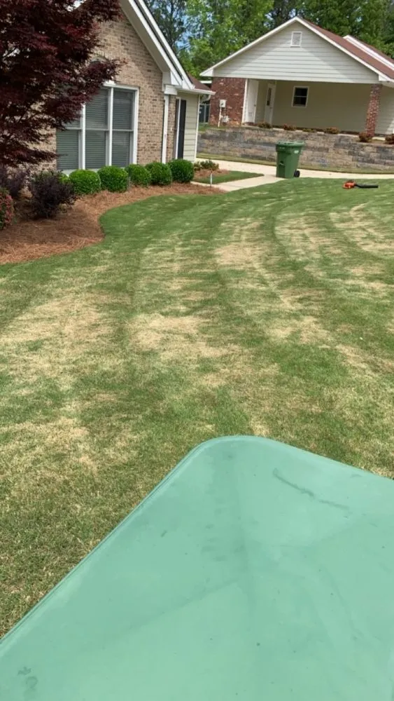 Expert lawn care service in Columbus, GA - 1 Stop Lawn Care