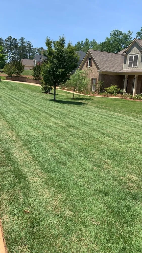 Expert yard cleanup service in Columbus, GA by 1 Stop Lawn Care