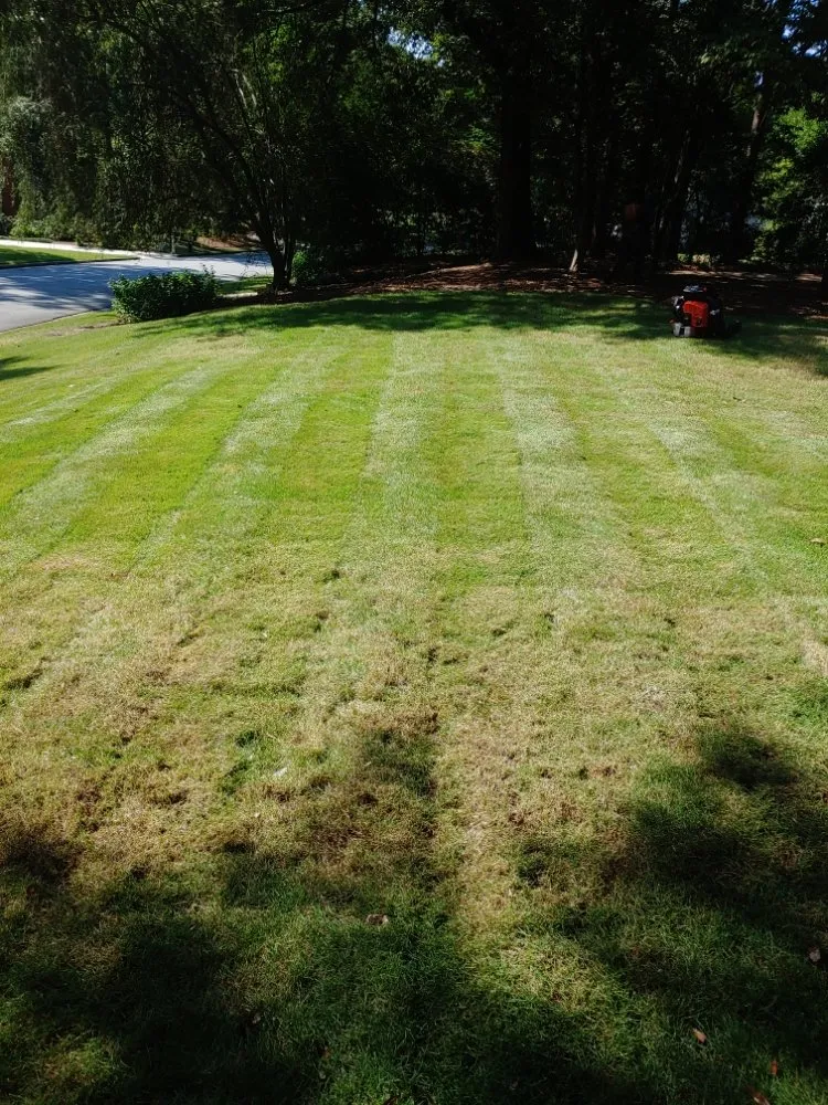 Top-rated landscape design for year-round maintenance across Columbus, GA - 1 Stop Lawn Care