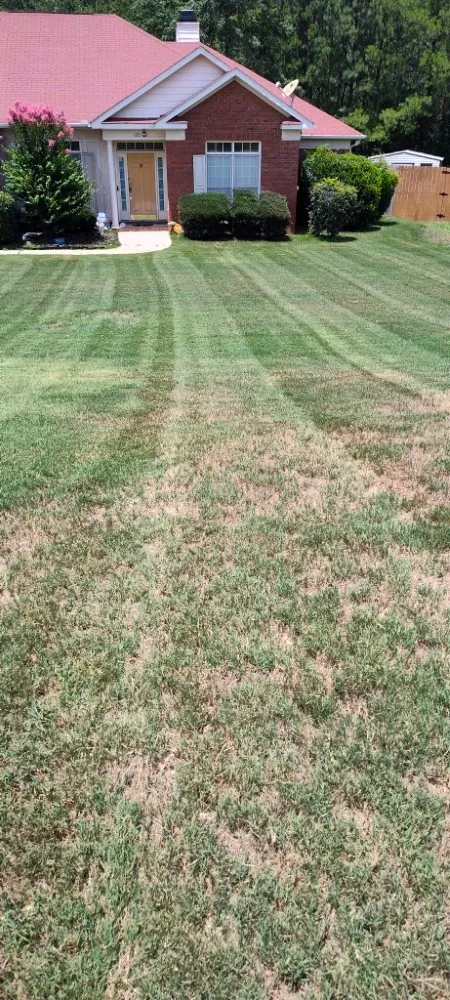 Custom landscape installation near you across Columbus, GA - 1 Stop Lawn Care