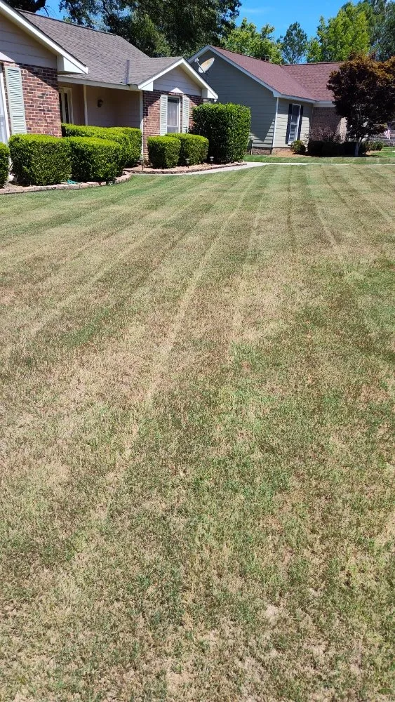 Top-rated garden landscaping experts serving Columbus, GA - 1 Stop Lawn Care
